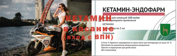 шишки Надым