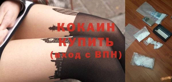 шишки Надым