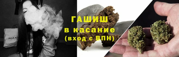 шишки Надым