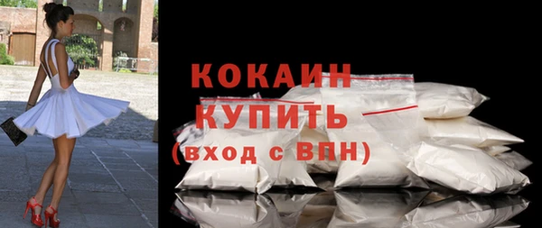 шишки Надым