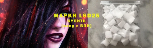 шишки Надым