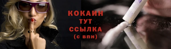 шишки Надым