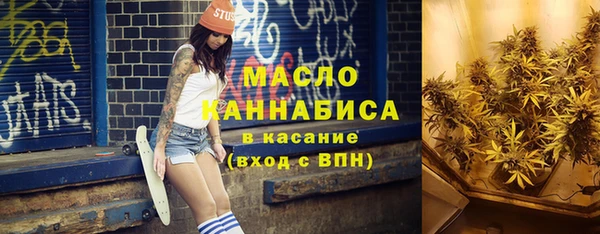 шишки Надым