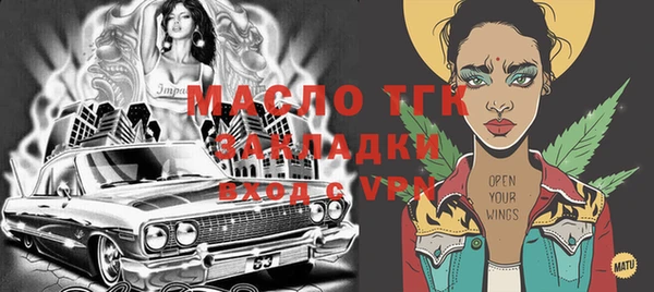 шишки Надым