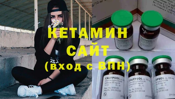 шишки Надым