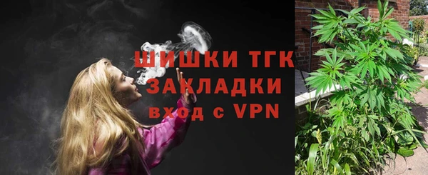 шишки Надым