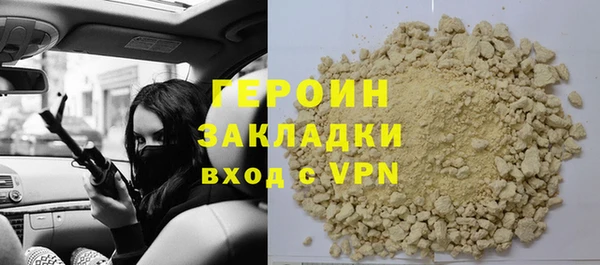 шишки Надым