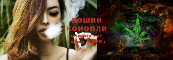 шишки Надым