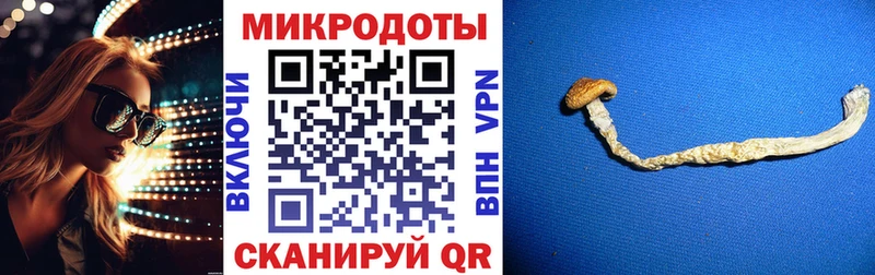 Псилоцибиновые грибы прущие грибы  маркетплейс телеграм  Мирный 