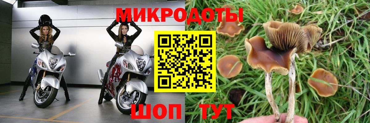 ГАШИШ Мирный